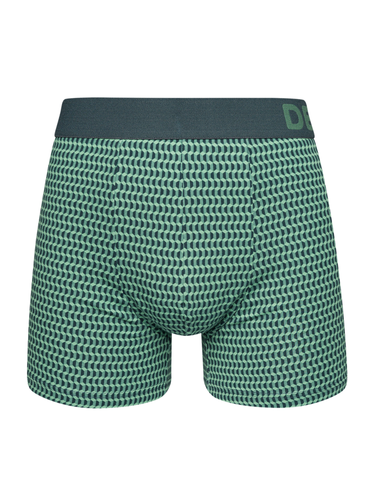 pastel-green-mens-pattern-trunks-c9/c9e85df42881745f5258f42255a0e48f26dd021a