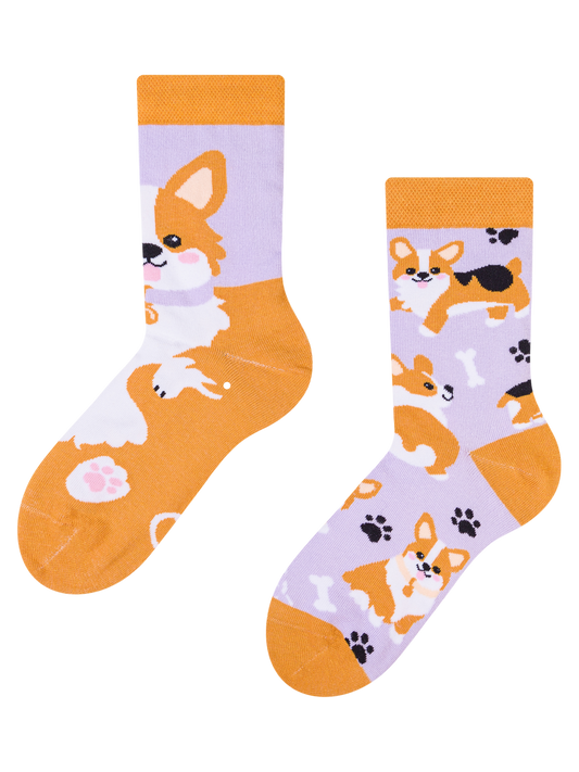 kids-socks-corgi-dog-fe/fe5aef896f092160afa731e508ec649c57558d09
