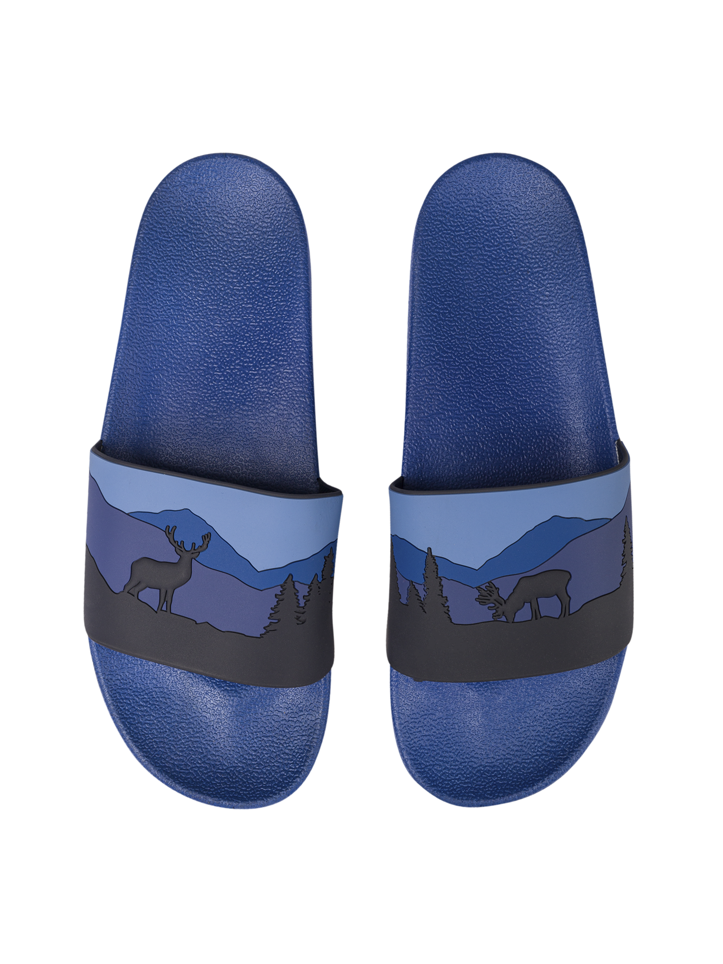 slides-deer-in-forest-cc/cceb8c0d666d078c1f46fead77472a8103856751