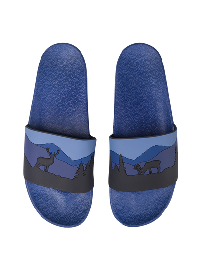 slides-deer-in-forest-cc/cceb8c0d666d078c1f46fead77472a8103856751