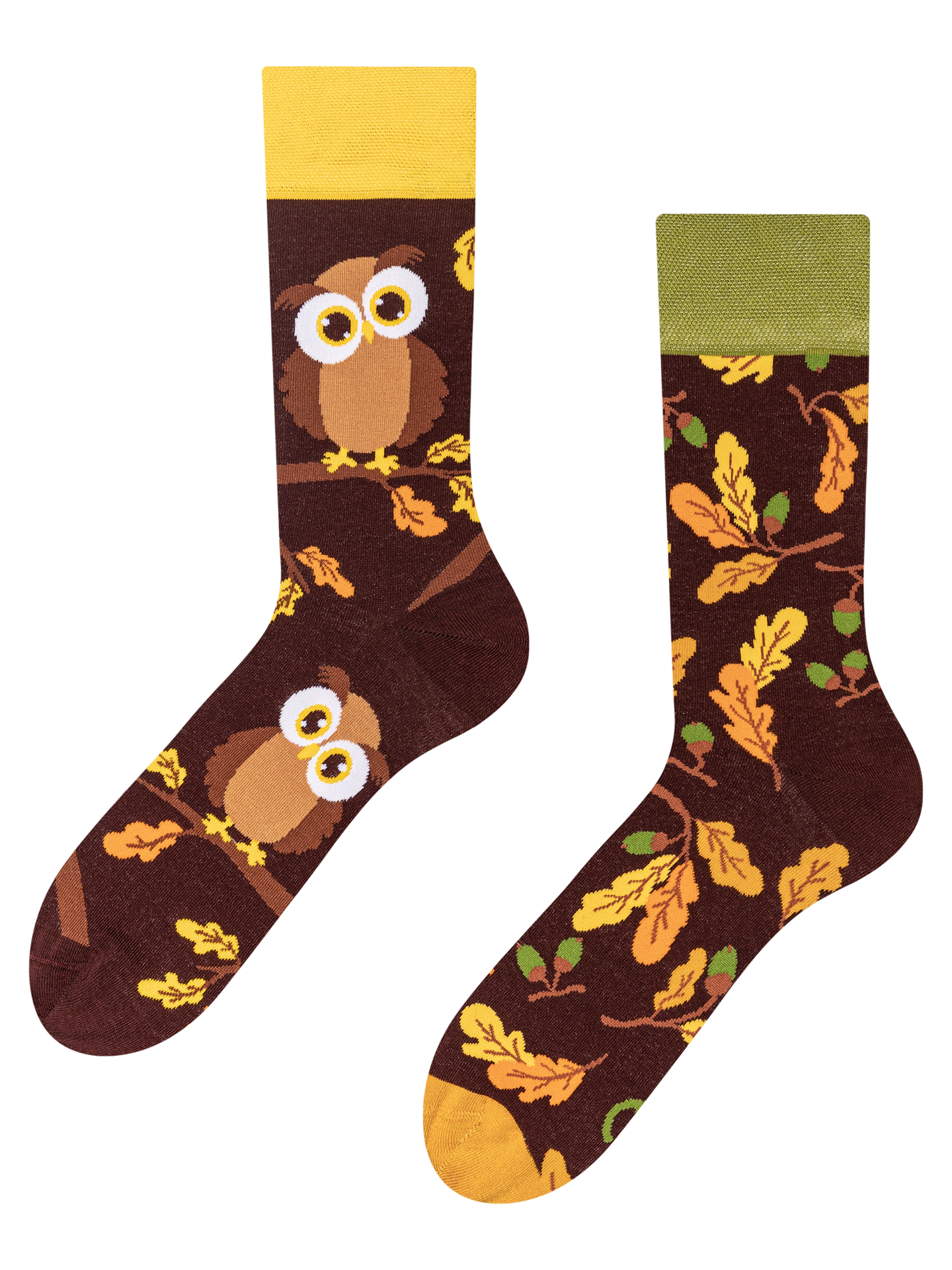 regular-socks-curious-owl-bf/bf866e064edbfbf63bbe45be2c552ef6b7e1b221