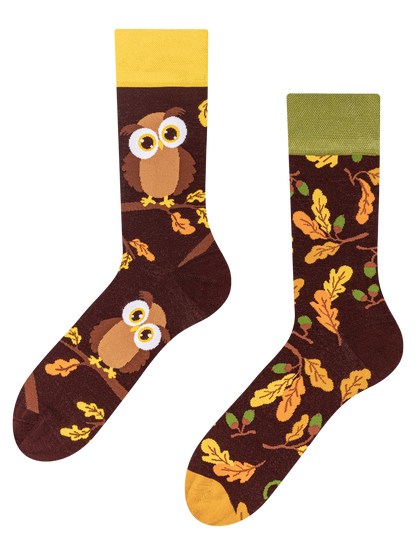 regular-socks-curious-owl-bf/bf866e064edbfbf63bbe45be2c552ef6b7e1b221
