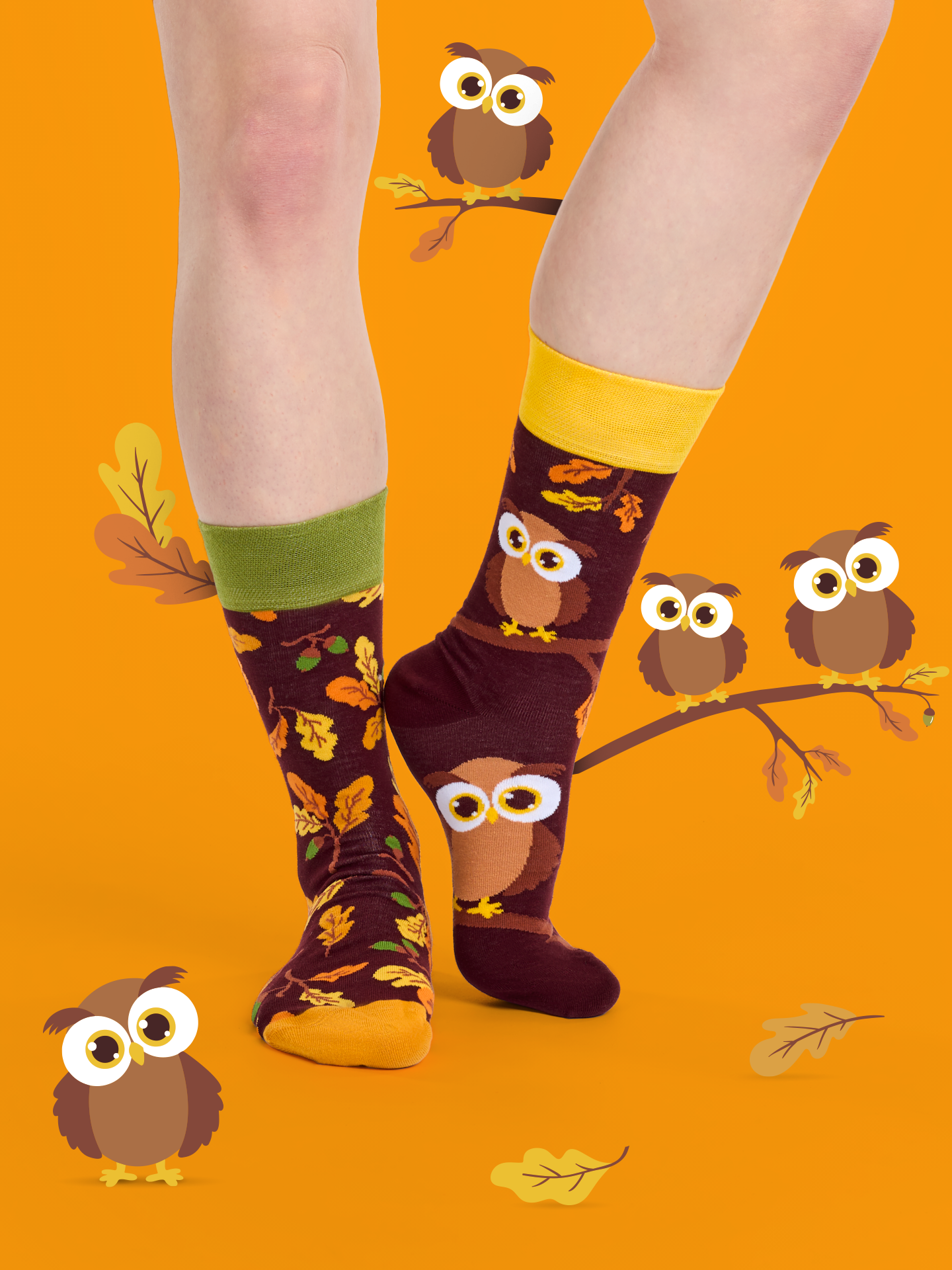 regular-socks-curious-owl-36/368e7649d37fe28d5380816fd8de7ecc72a4535f