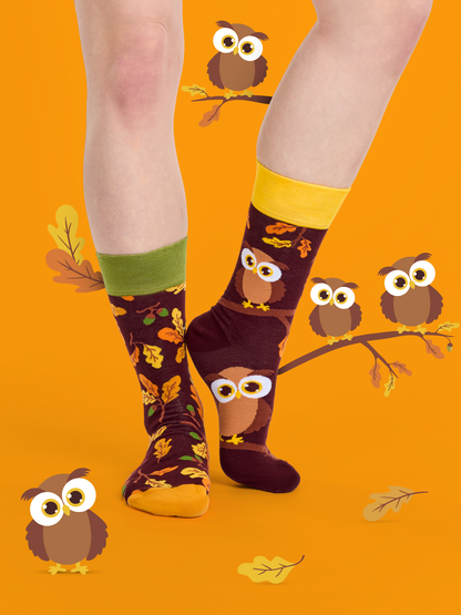 regular-socks-curious-owl-36/368e7649d37fe28d5380816fd8de7ecc72a4535f