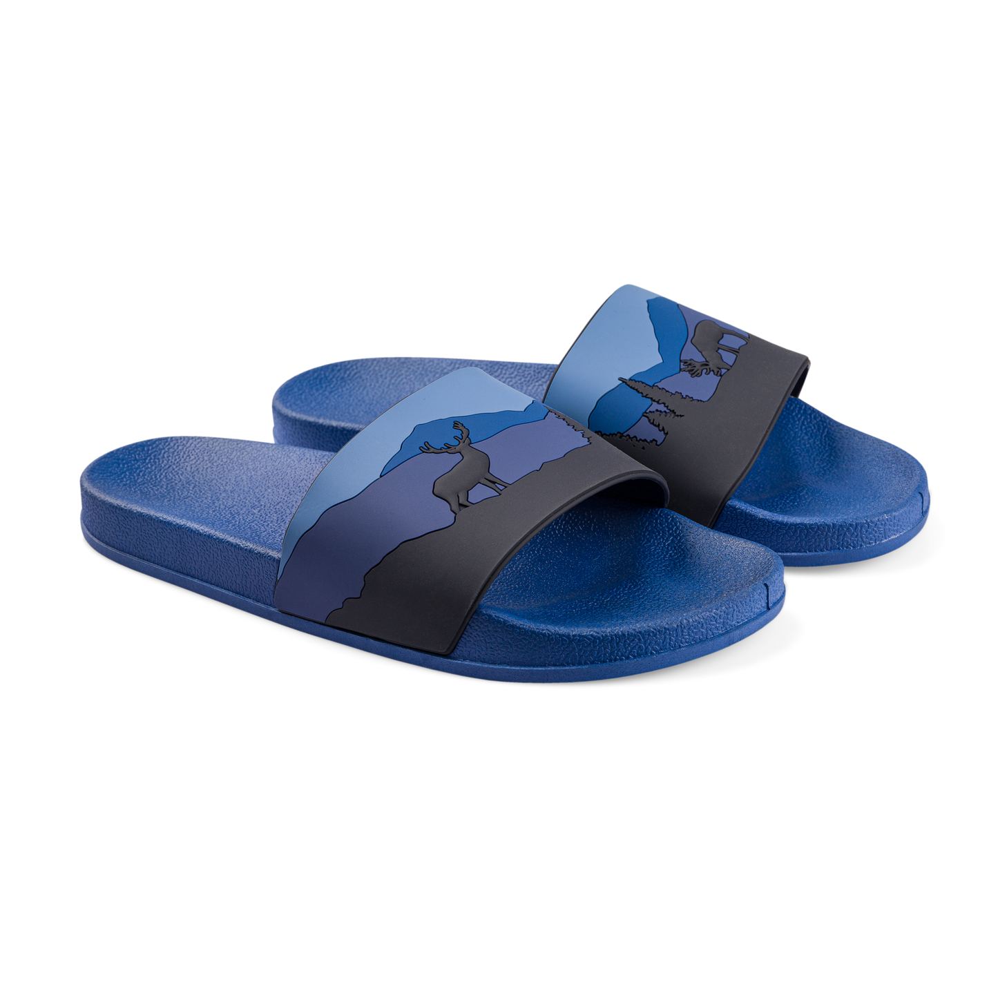 slides-deer-in-forest-dd/ddbed47e38981238980f38fdcf250db6f36befb5