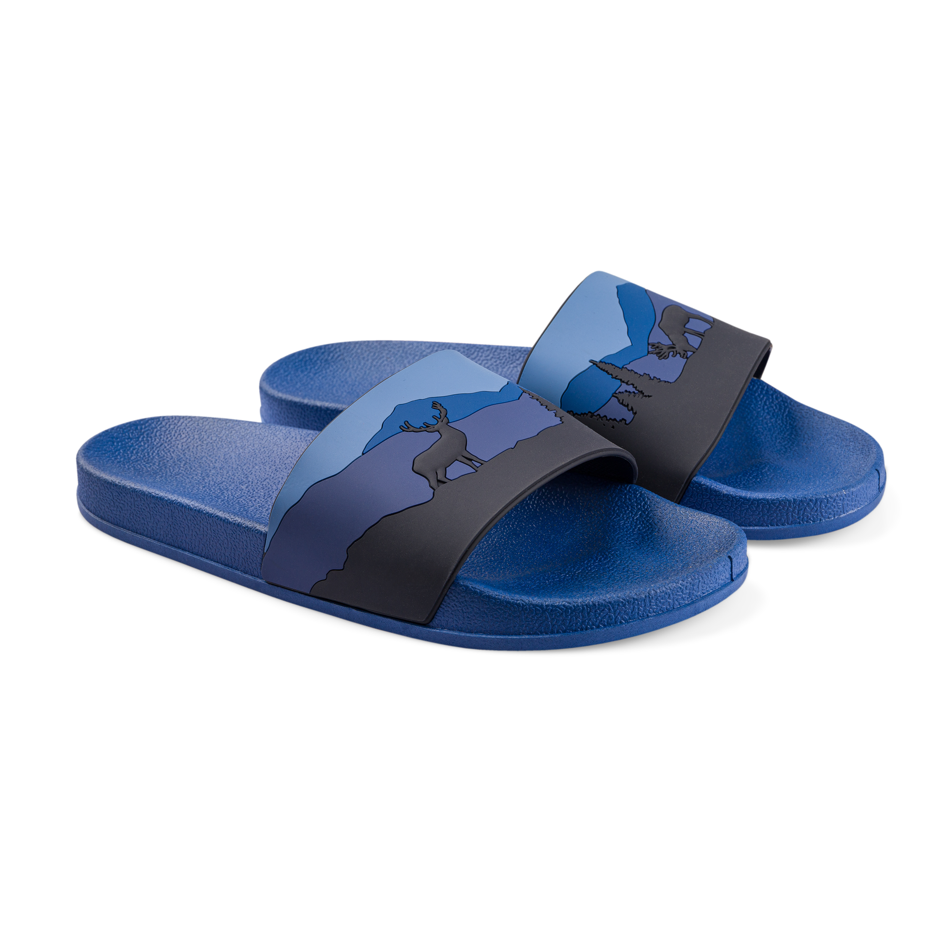 slides-deer-in-forest-dd/ddbed47e38981238980f38fdcf250db6f36befb5