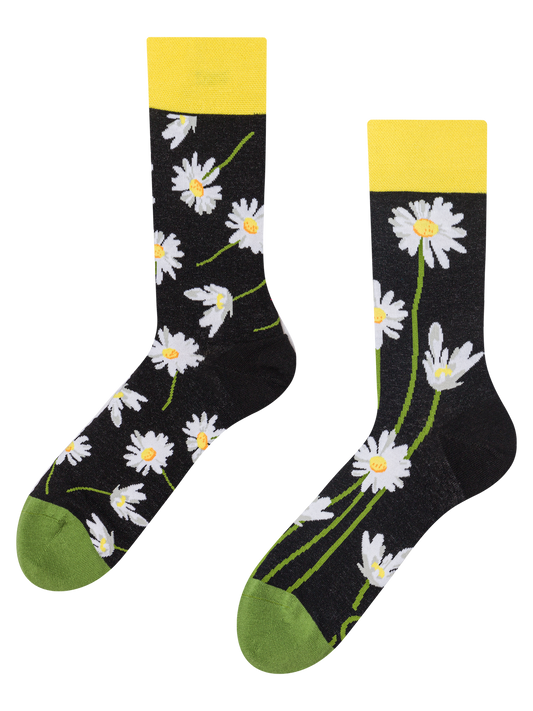 regular-socks-daisies-at-night-09/095328b14eefe992e7f9925f551679a8bc7749f0
