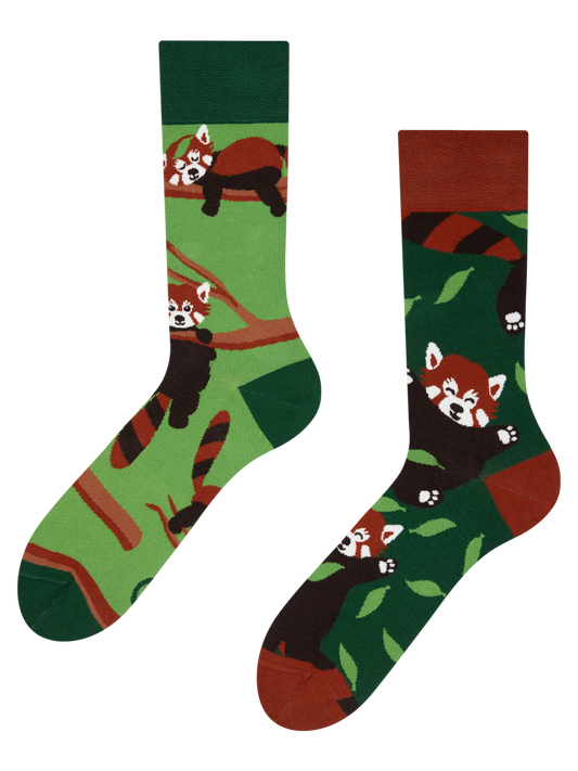 regular-socks-red-panda-85/85b3d78045c17867a4b6b0073e717e1f461b8b72