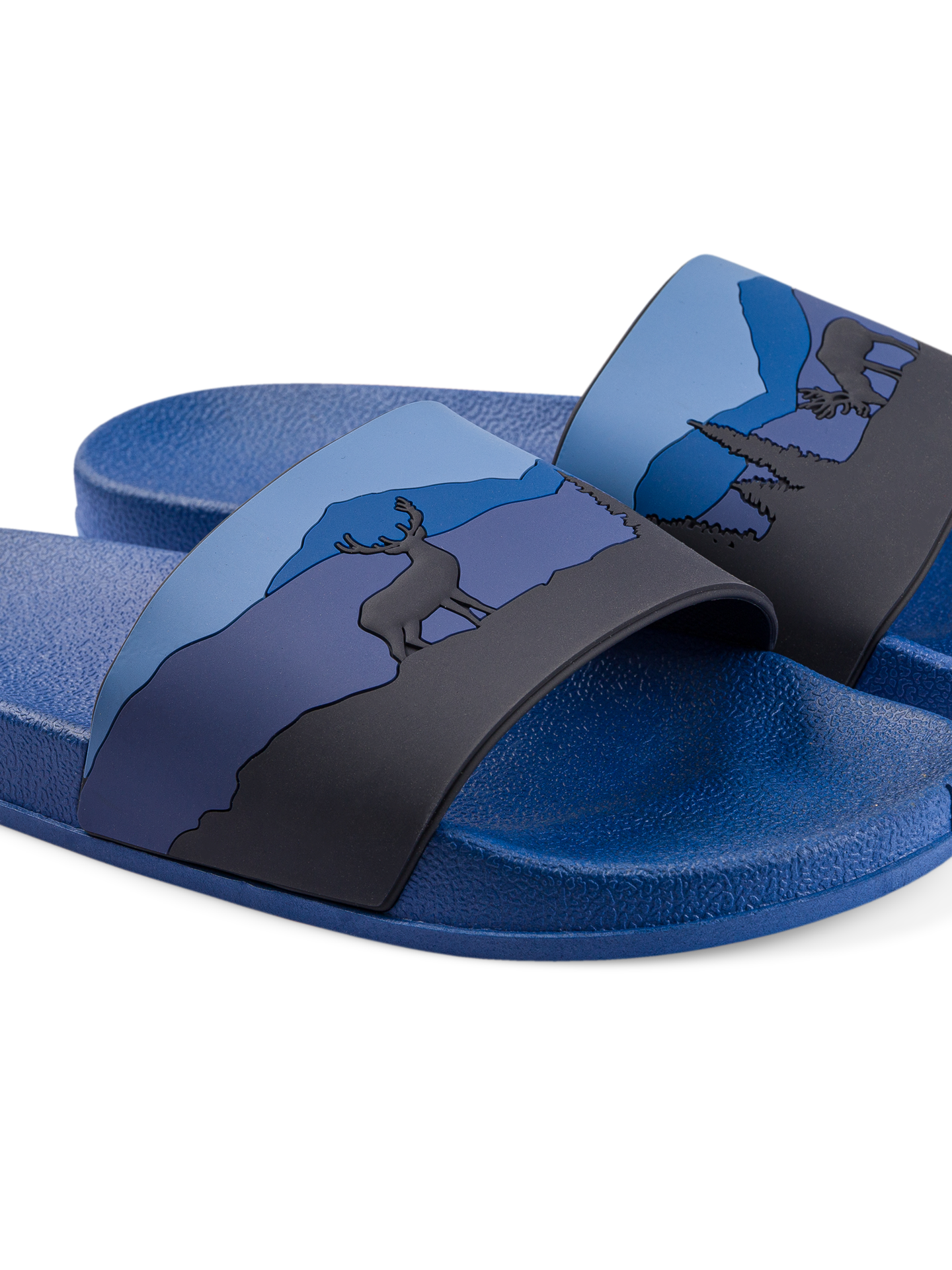 slides-deer-in-forest-85/85fba0a00faa8b9dd52759a7f34869632d9f7975