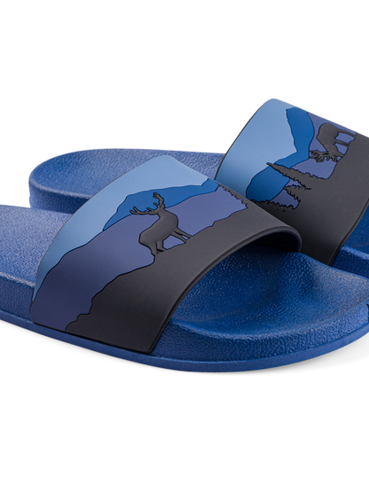 slides-deer-in-forest-85/85fba0a00faa8b9dd52759a7f34869632d9f7975