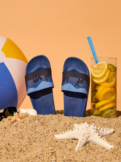 slides-deer-in-forest-b3/b36507e966c1129f3b948648a074c8bfed5a54c1