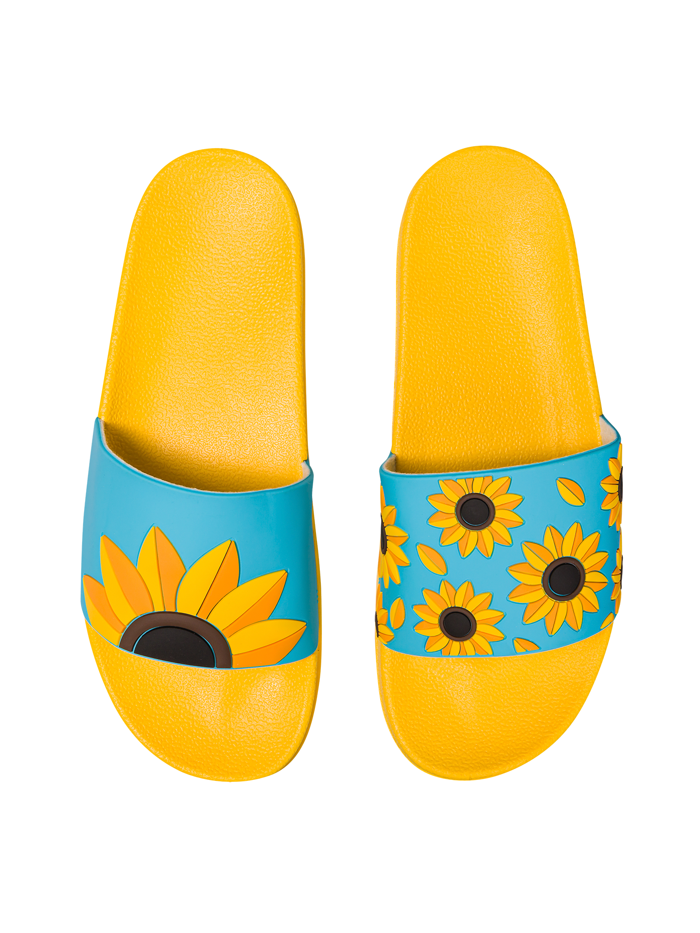 slides-summer-sunflower-06/0618c298505633fd9f80017e7d6615f97053949a