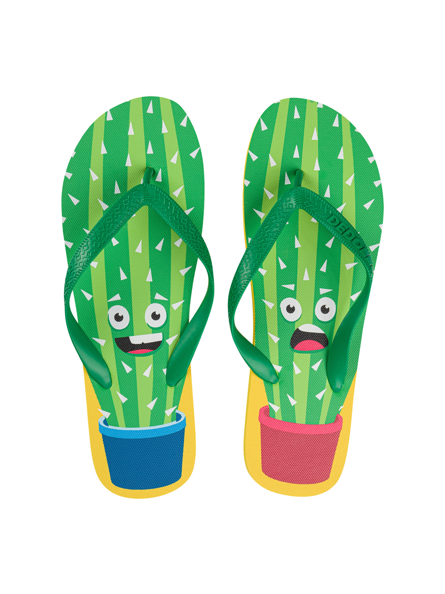flip-flops-funny-cactus-c3/c3651f576f1f971b4e546b0e290eb7ce4909ca77